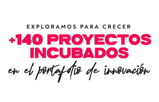 140 proyectos de portafolio